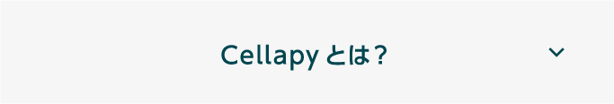 Cellapyとは?