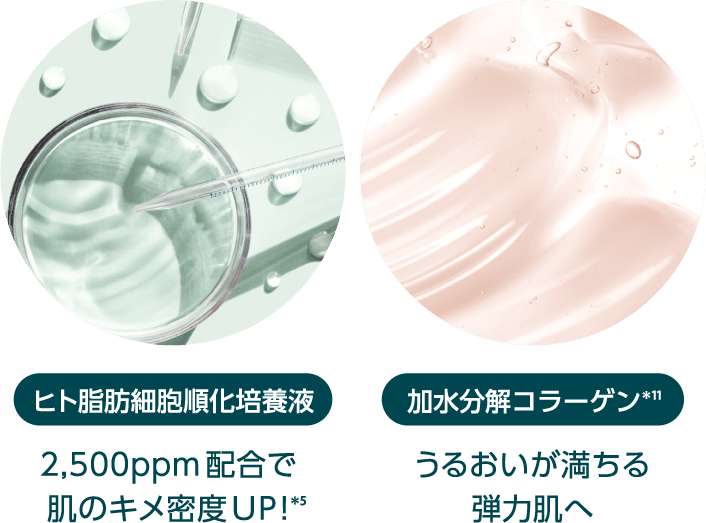 ヒト脂肪細胞順化培養液 2,500ppm配合で肌のキメ密度UP!*5 加水分解コラーゲン*11うるおいが満ちる弾力肌へ
