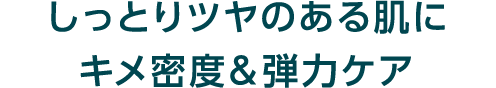 しっとりツヤのある肌にキメ密度&弾力ケア