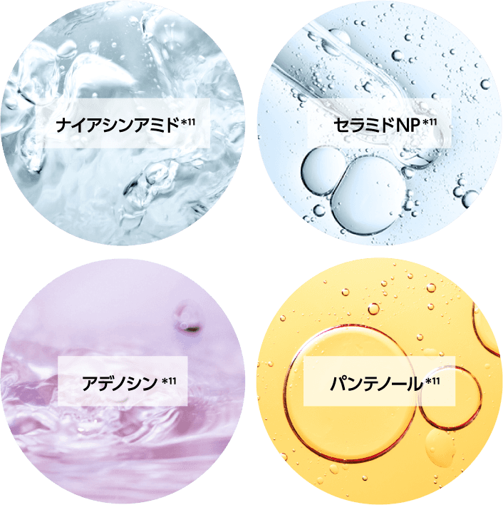 ナイアシンアミド*11 セラミドNP*11 アデノシン*11 パンテノール*11