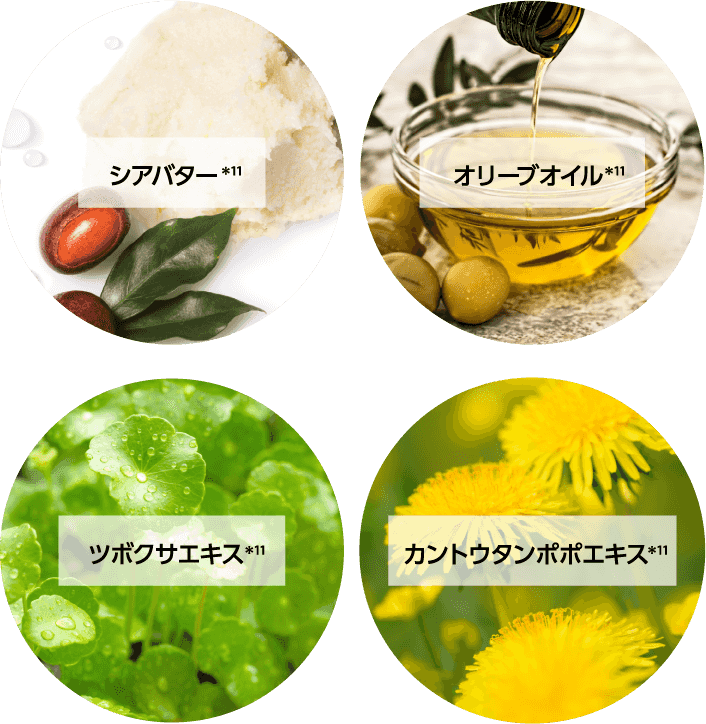 シアバター*11 オリーブオイル*11 ツボクサエキス*11 カントウタンポポエキス*11